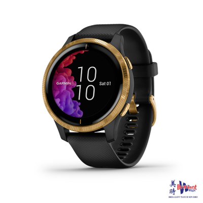 GARMIN Venu Black/Gold