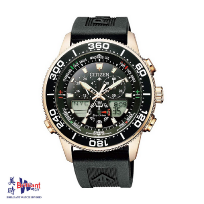 CITIZEN PROMASTER FUGU ASIA LIMITED MODEL Men Watch NY0082-17XB