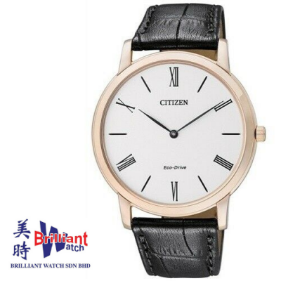 CITIZEN Men's Eco-Drive Gents Watch AR1113-12B