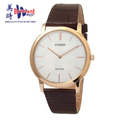 CITIZEN Men's Eco-Drive Gents Watch AR1113-12A