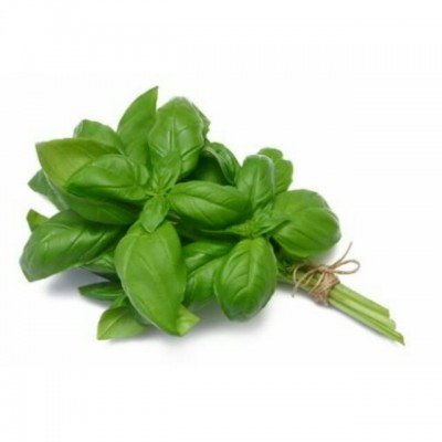 Basil 500g