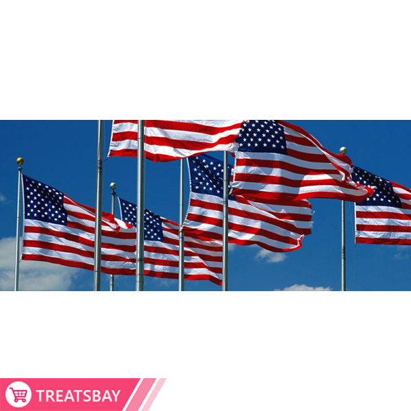 Company Flag / Nation Flag Printing